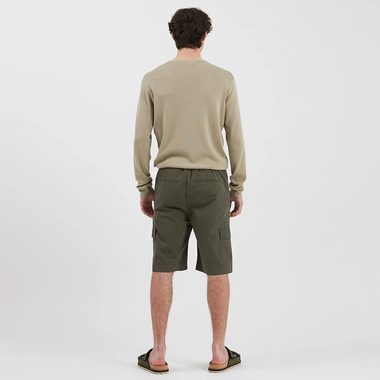 Belto Shorts beetle - Image 3