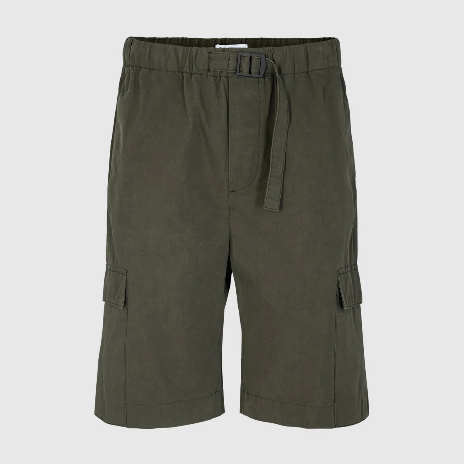 Belto Shorts beetle - Image 4