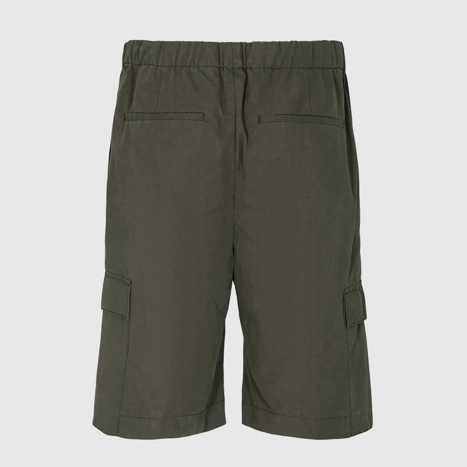Belto Shorts beetle - Image 5