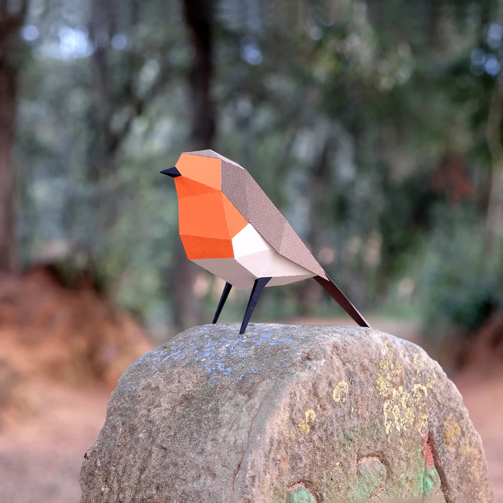 Erithacus Rubecula Paper Figure Kit - Image 2