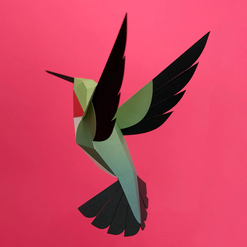 Selasphorus Paper Figure Kit - Image 2